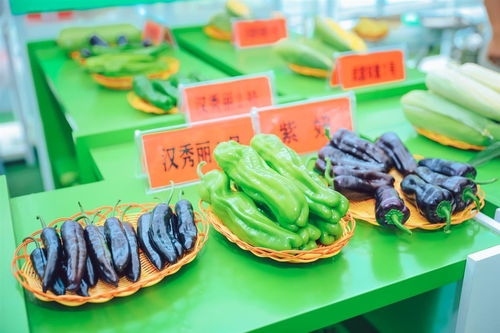 3000余種農(nóng)作物亮相武漢種博會，端午假期邀市民共赴農(nóng)業(yè)盛宴