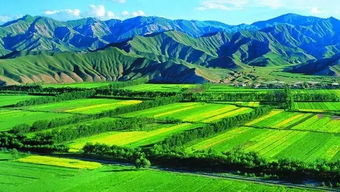 農(nóng)業(yè)種植效益提升之道 核心要素與科學(xué)實踐