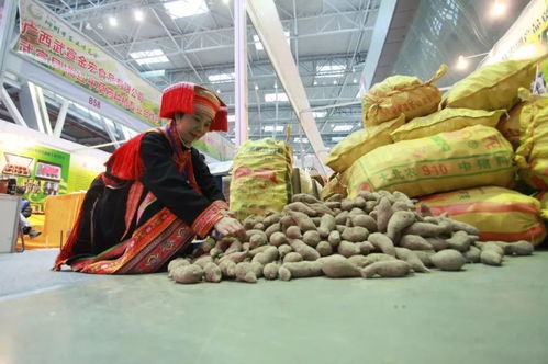 2019柳州農(nóng)博會(huì) 萬種珍品薈萃，盡顯現(xiàn)代農(nóng)業(yè)風(fēng)采