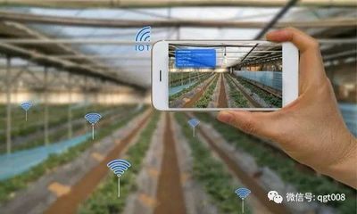 江蘇省數(shù)字農(nóng)業(yè)農(nóng)村工作要點(diǎn)發(fā)布，農(nóng)業(yè)培育迎來新機(jī)遇