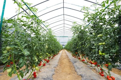 基地春耕忙，彩食鮮訂單農(nóng)業(yè)迎蓬勃發(fā)展