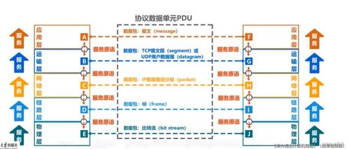 計算機網絡概論 網絡基礎與系統性服務解析