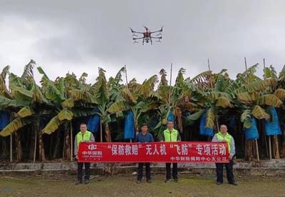 中華財險&ldquo;春耕備耕&rdquo;金融服務正當時