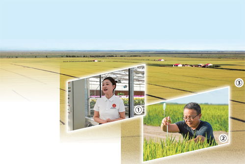 開辦田間課堂 提供農(nóng)技服務 開展農(nóng)產(chǎn)品電商直播 黑土地上扶農(nóng)助農(nóng)的年輕人