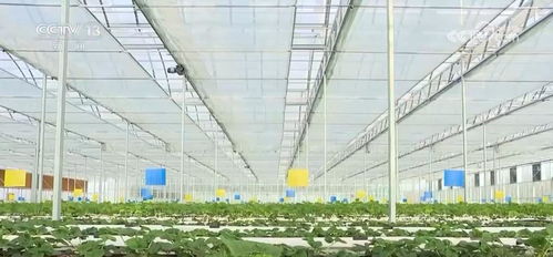 優(yōu)勢互補 同向發(fā)力 農(nóng)業(yè)農(nóng)村部全力推進高水平農(nóng)業(yè)科技自立自強