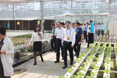 市人大常委會副主任法建強一行視察河南鄭州國家農(nóng)業(yè)科技園區(qū)核心區(qū)建設(shè)工作