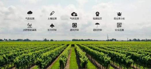 從碼鏈體系看智慧農(nóng)業(yè)的發(fā)展