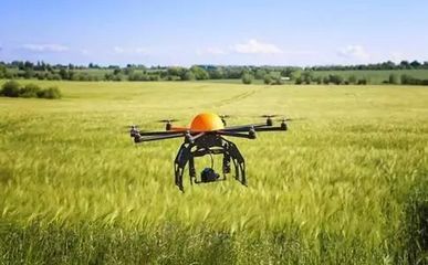 你的農產品與成功的距離只差了一個品牌!