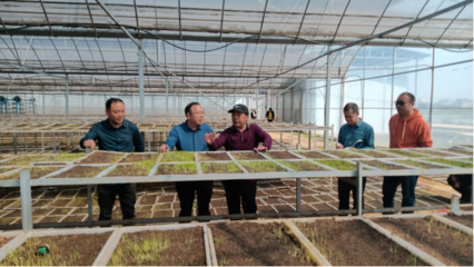 常德市| 石門縣農(nóng)業(yè)農(nóng)村局干部開展糧食生產(chǎn)大服務(wù)活動