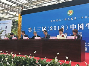 山西晚報數(shù)字報