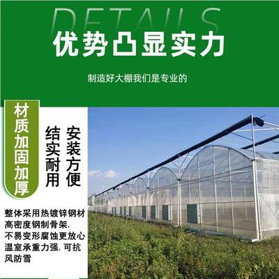 中科 透氣 一站式服務(wù) 外遮陽系統(tǒng) 擋風(fēng)擋雪 獨(dú)棟溫室大棚定做