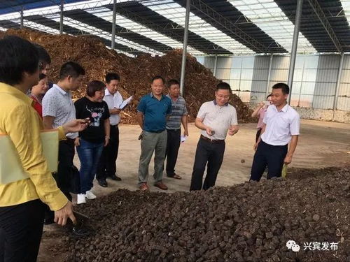 哪個(gè)鄉(xiāng)鎮(zhèn)多力 興賓區(qū)產(chǎn)業(yè)扶貧和村級(jí)集體經(jīng)濟(jì)大評(píng)比