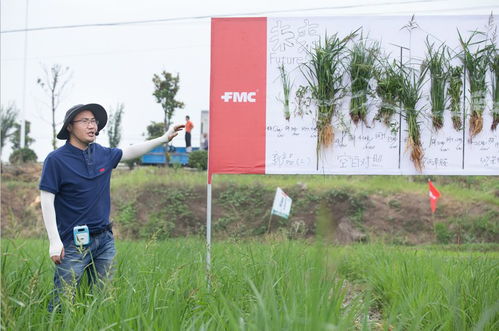 創(chuàng)新富美實(shí),震撼星博會