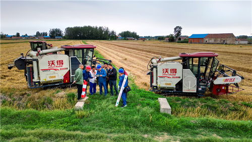 國網(wǎng)滁州供電公司 奮戰(zhàn) 三夏 保障定遠(yuǎn)138萬畝小麥顆粒歸倉