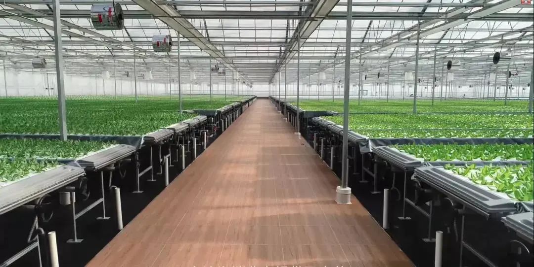 寶貝出村&mdash;&mdash;"城市之光"植物夢(mèng)工廠高科技農(nóng)業(yè)公益研學(xué)活動(dòng).