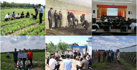 我院&ldquo;創(chuàng)新寒地棚室生產(chǎn)技術 助力鄉(xiāng)村振興產(chǎn)業(yè)發(fā)展&rdquo; 成功入選教育部省屬高校精準幫扶典型項目