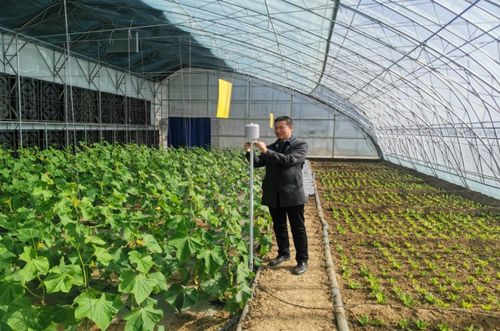 一年之計(jì)在于春，農(nóng)氣聯(lián)手促增收：農(nóng)業(yè)科技服務(wù)的創(chuàng)新與展望