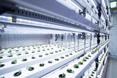 拼多多Q3財(cái)報(bào)發(fā)布 陳磊強(qiáng)調(diào)重倉(cāng)“新質(zhì)供給”與“電商西進(jìn)”生態(tài)建設(shè)，深化農(nóng)業(yè)科技服務(wù)