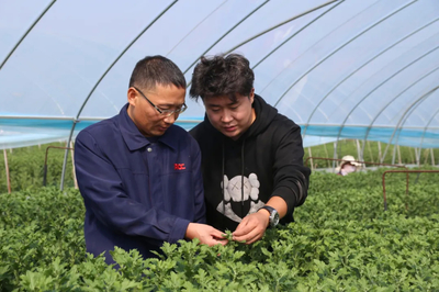 人保財(cái)險(xiǎn)徐州分公司 以服務(wù)三農(nóng)為本，助推農(nóng)業(yè)保險(xiǎn)高質(zhì)量發(fā)展