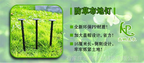 PP單張打孔防草地布 現(xiàn)代農(nóng)業(yè)科技服務(wù)的新銳工具