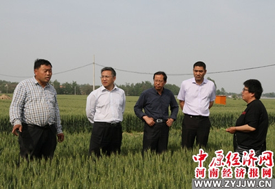 河南農(nóng)業(yè)大學(xué) 科技套餐送達(dá)田間地頭，精準(zhǔn)服務(wù)助推鄉(xiāng)村振興