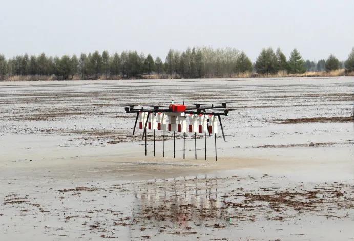 《“十三五”農(nóng)業(yè)農(nóng)村發(fā)展成就斐然，農(nóng)業(yè)機械化與科技服務引領現(xiàn)代農(nóng)業(yè)新篇章》