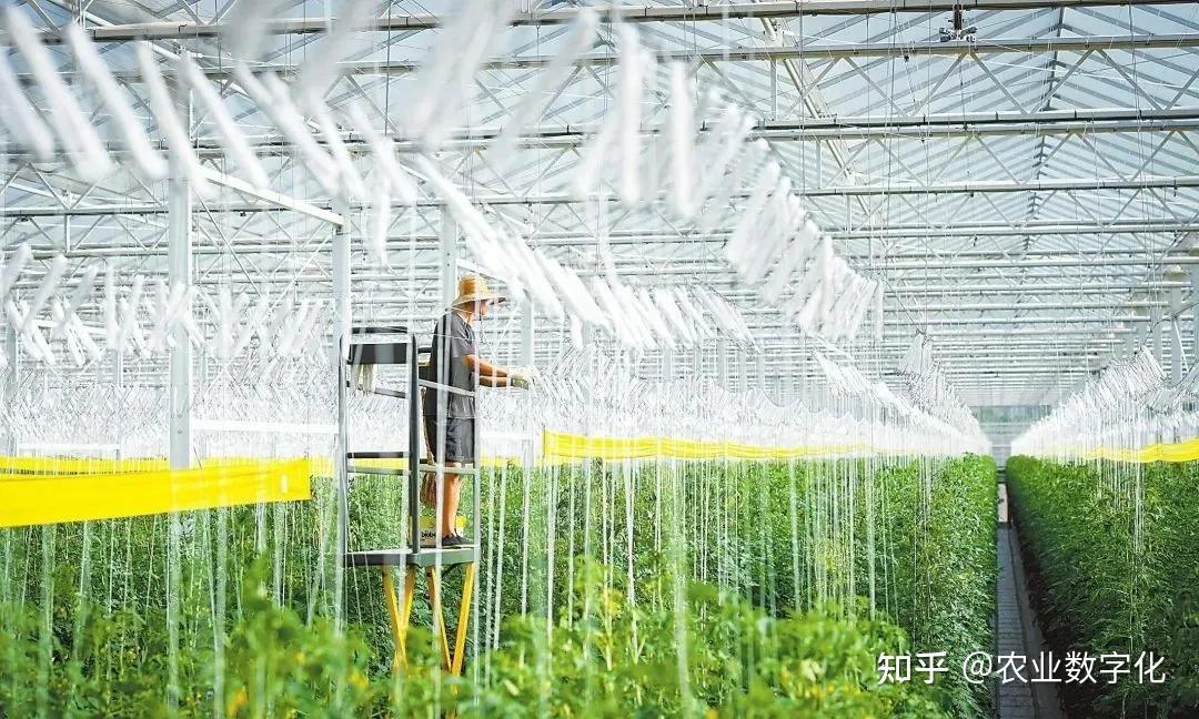 農(nóng)業(yè)科技服務 以創(chuàng)新之力破解現(xiàn)代農(nóng)業(yè)發(fā)展難題