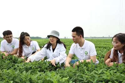 躬耕花生三十載 扎根農(nóng)田為科研——記河南農(nóng)業(yè)大學教授殷冬梅的農(nóng)業(yè)科技服務之路